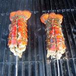 grilled-lobster-tails